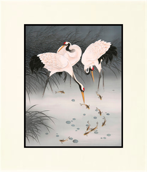 Kushiro Cranes